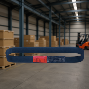 สายรัดแบบใช้แล้วทิ้ง DOLEZYCH ขนาด 1.0 ม. สีดำ รับน้ำหนักได้ 750 กก. มาตรฐาน EN 60005 Din บรรจุ 10 เส้นต่อแพ็ค - Product Image 3