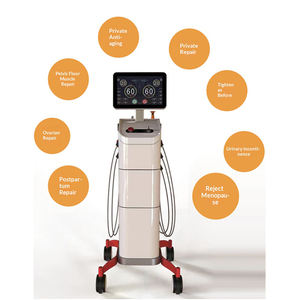 Sistem Perawatan Intim Profesional untuk Pengencangan Vagina, Nyeri Menstruasi & Kesehatan Panggul, Perawatan Intim Komprehensif - Product Image 1