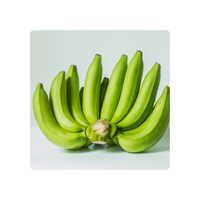 FRESH CAVENDISH BANANA VERDE PROVEEDORES DE EXPORTACIÓN DE VIETNAM BLUE LOTUS PRECIO BARATO 2025