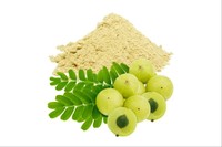 Poudre d'extrait sec d'Amla (EXTRAIT DE FRUIT) Extrait végétal naturel Qualité alimentaire Extraction par solvant Soluble dans l'eau En fût pour