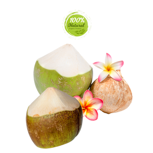 สัญลักษณ์ของมะพร้าวปอกเปลือกเพชรในการเฉลิมฉลองเวียดนาม - Product Image 6