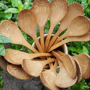 Cuchara de coco natural | Utensilios biodegradables hechos a mano de Vietnam - Product Image 1