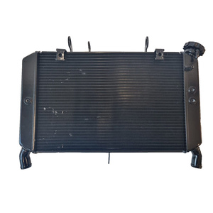 Nuovo Radiatore di Raffreddamento Motore per Yamaha MT-09 FZ09 2014-2020 - Product Image 1