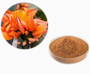 Polvo de extracto de Butea Superba con certificación orgánica 100%, extracto de plantas de hierbas de alta calidad, etiquetado privado OEM para producción a granel - Product Image 1