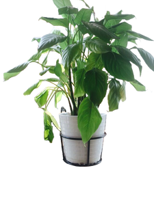 Cestini appesi in ferro <span class=keywords><strong>per</strong></span> recinzione metallica fioriere con sopra la guida <span class=keywords><strong>per</strong></span> vasi di fiori da giardino all'aperto - Product Image 3