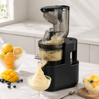 Commerciële slowjuicer voor fruit en groenten, hoge opbrengst sapcentrifuge voor thuiskeuken en straatverkopers