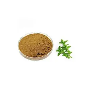 现货薄荷粉水溶性薄荷粉薄荷提取物风味食品级添加剂来自印度