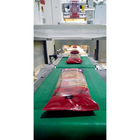 Pâtes sèches spaghetti 500g 1,2 mm blé dur Marque Ankit Certifié ISO 9001/HALAL Qualité Égyptienne Durée de conservation 18 mois 6-9 min Boîte