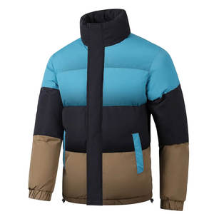 Veste matelassée décontractée de luxe pour hommes parka d'hiver manteau bulle respirant en coton épais avec fermeture à glissière à capuche style léger - Product Image 1
