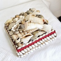 Accessoires Organisateur Boîte Coquillage Bijoux Montre Boucle d'oreille Coffrets Cadeaux Bibelot fait main Petite Boîte carrée