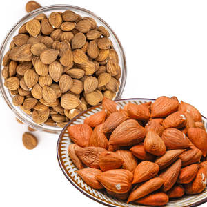 Granos de albaricoque | Limpiados y clasificados para aplicaciones nutracéuticas - Product Image 2