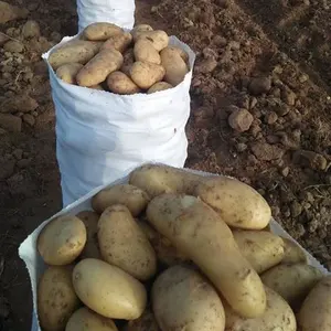 Premium Kwaliteit 100% Biologische Verse Aardappelen Voor Export