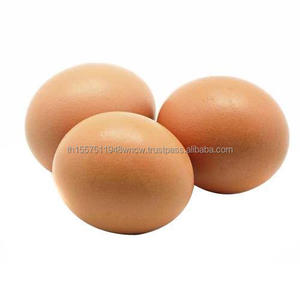 Huevos de Gallina Frescos de Granja, Marrones y Blancos, Huevos de Gallina Conservados y Congelados - Product Image 1