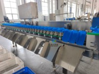 Automatische weegsorteermachine, voedsel sorteermachine voor vlees, groente en fruitverwerkingslijn, op maat gemaakte oplossing