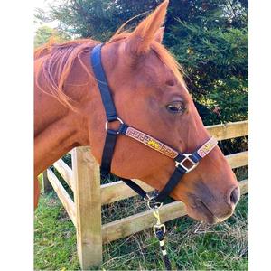 Equestrian Horse Training Hand Tooled Leather Designer Nylon <b>Rope</b> Halter and Lead in Best Price - Product Image 1