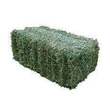 หญ้าแห้งอัลฟัลฟาอาหารสัตว์ - Product Image 2