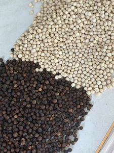 TOUS LES GRADES POIVRE NOIR Poivre Emballage en vrac Vente en gros de haute qualité 500G/L 550G/L Poivre d'origine vietnamienne LINDA + 84393250278 - Product Image 5