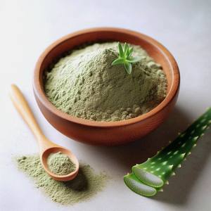 ผงสกัดจากว่านหางจระเข้ผู้ผลิตที่เชื่อถือได้จากเวียดนาม - Product Image 3