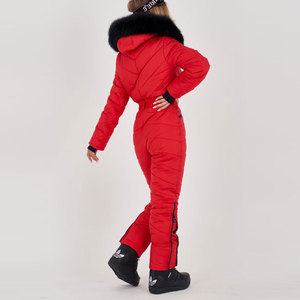 Ropa de esquí de venta en línea de calidad superior Venta caliente Nueva llegada 3000M Capas dobles Diseño profesional Conjunto de esquí con cuello con capucha - Product Image 4