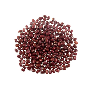 ขายถั่ว Vigna Adzuki - Product Image 2