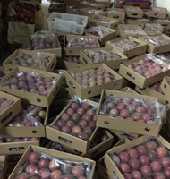 Op Maat Gemaakte Gevriesdroogde Passievrucht In Vietnam 100% Vers Bevroren Passievruchtenpuree Verse Smaak Zuur En Zoet/Anna Do