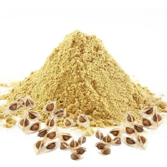 最高品質の有機乾燥モリンガ種子とモリンガ粉末を卸売価格で購入Isar International