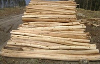 Bûches de bois d'eucalyptus brut de bonne qualité Bûches de bois brutes rondes et carrées Exportation en vrac au prix de gros