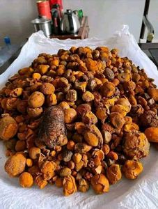 3G NATURE NIU HUANG HERB MEDICINA GANADO BUEY VACA GALLIAS BEZOAR HIERBA - Product Image 6