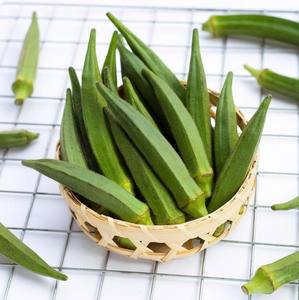 EXPORTACIÓN LISTO SUMINISTRO A GRANEL OKRA CONGELADO AL POR MAYOR CALIDAD PREMIUM NATURAL ORGANIC HOT DEAL TOP VENTAS DE CALIDAD ALIMENTARIA - Product Image 4