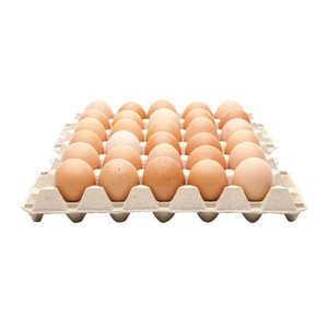 Top Verkoop Vruchtbare Vleeskuikens Pluimveebedrijf Bruine Tafeleieren Juiste Ei Behandeling En Opslag Verse Eieren - Product Image 1