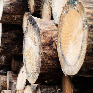 Arena para gatos de madera de pino sin polvo, viga de pino, madera con ranura y tablero absorbente de sonido para construcción - Product Image 4