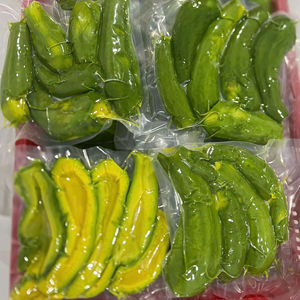 Aguacate congelado IQF de alta calidad de Vietnam Frescura y ahorro combinados - Product Image 1