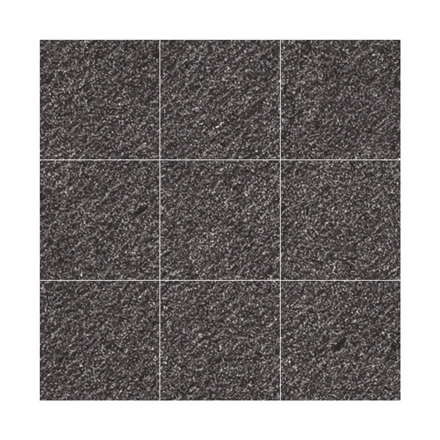 grass punch dolphine