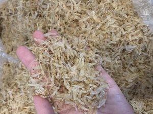 กุ้งอบแห้งขนาดใหญ่จากเวียดนาม - Product Image 2