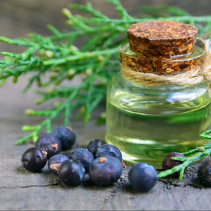 Tinh khiết tinh dầu bách xù Berry truyền Trà Cây bạc hà hoa oải hương bạch đàn cam gỗ đàn hương cho cơ thể giữ ẩm làm săn chắc - Product Image 1