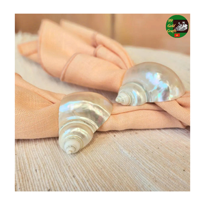 Anillos para Servilletas de Conchas Marinas Hechos a Mano con Conchas Naturales, Decoración de Mesa para Bodas, Eventos, Decoración Costera y Rústica - Product Image 6