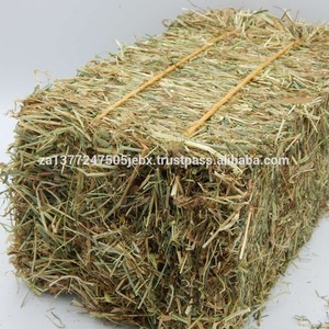 Compre heno de alfalfa verde natural secado al sol con alto contenido nutricional ideal para animales de granja a granel - Product Image 5
