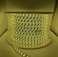 Bande LED 220V SMD 120pcs étanche Flexible 5630 5730 lumière LED pour paysage IP20 évalué