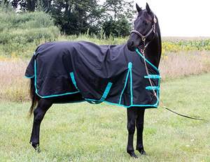 Feuille de pluie 1200 Denier Horse (feuille de participation imperméable/respirante et résistante au vent) feuille de pluie non pérenne (noir-turquoise, 72) - Product Image 5