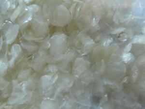 FORMA DE ESCALA DE PESCADO COMPETITIVA PROVEEDOR VIETNAMITA PARA EXPORTAR A GRANEL - Product Image 3