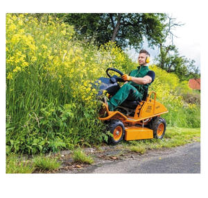 Tondeuse à gazon Enduro bon marché à vendre Tondeuse fiable à haute capacité de coupe idéale pour les terrains accidentés - Product Image 3