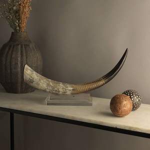 Lampe murale décorative de style animal moderne, en corne de buffle naturelle polie à la main - Product Image 4