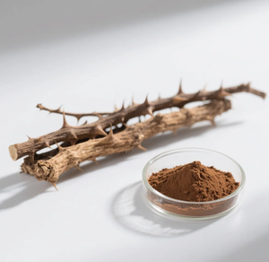 Fornecimento de fábrica1.5 % Eleutheroside <span class=keywords><strong>Acanthopanax</strong></span> Senticosus Extrato Vegetal Premium De Eleutherococcus Senticosus - Product Image 4