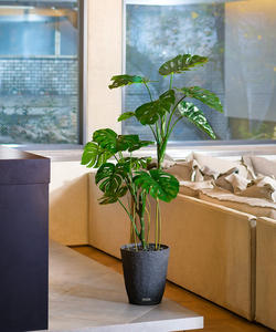 Gran sala de estar al aire libre decoración de pared de techo de boda plantas artificiales y vegetación para un diseño elegante del hogar - Product Image 6