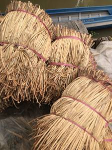 Jacinto de agua para artesanías: una solución sostenible para la expresión creativa - Product Image 5