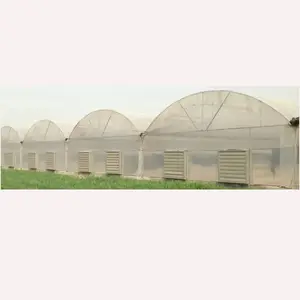 Большая многопролетная структура, система орошения, сельскохозяйственные теплицы из пластиковой пленки с системой орошения