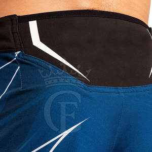 Online <b>Sale</b> Best Selling MMA Shorts Wholesale Unique Style MMA Shorts 2025 Lightweight MMA Shorts - Product Image 6