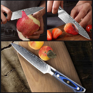 Vente en gros de couteaux de cuisine japonais personnalisés, faits à la main, de haute qualité, OEM et ODM, 67 couches, manche G10, trancheuse de chef - Product Image 2