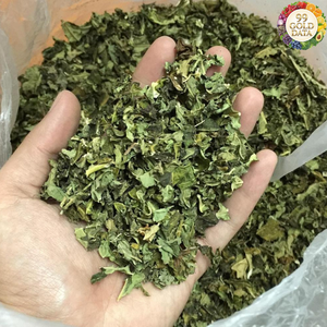 Feuilles de papaye séchées produites au Vietnam à partir de feuilles de papaye propres pour l'utilisation en boisson et en ingrédient alimentaire - Product Image 1