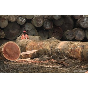 ไม้อะโซบีที่เป็นของแข็งไม้ธรรมชาติที่ทนทานสำหรับพื้นระเบียงปูพื้นและใช้โครงสร้าง - Product Image 2